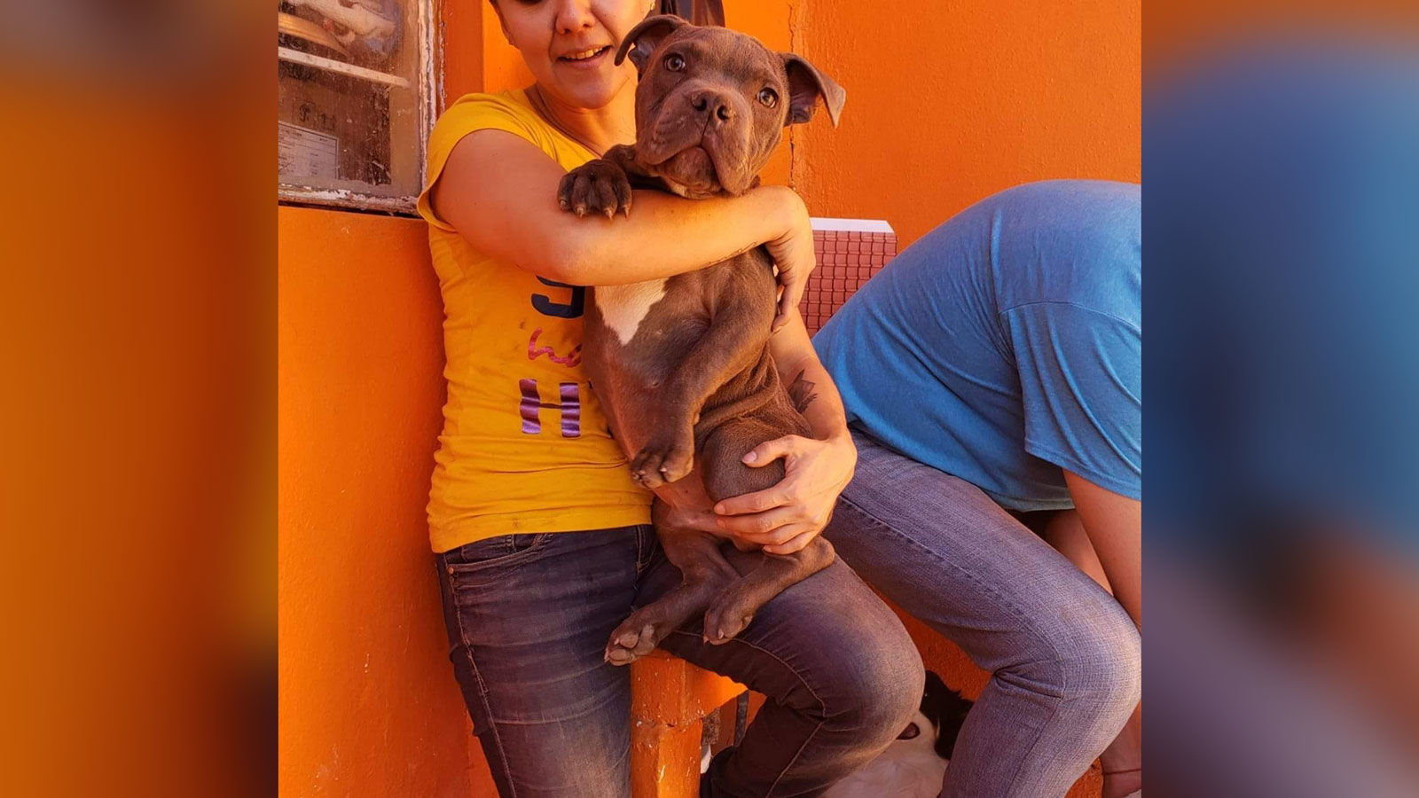 Rescued puppy